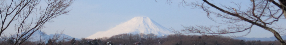 fuyufuji